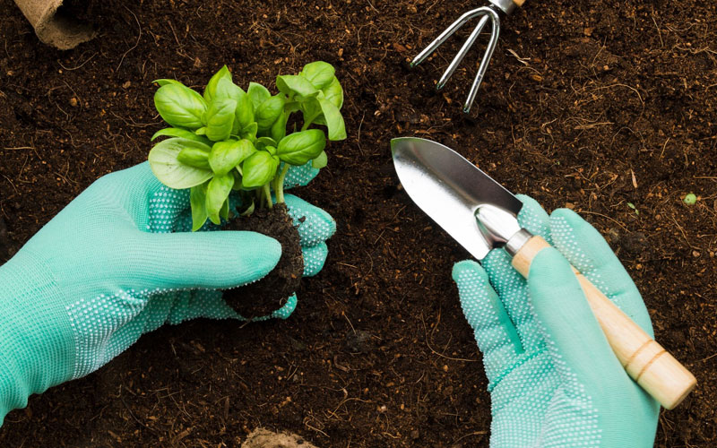 Best Plant Maintenance Services In Uttar Pradesh