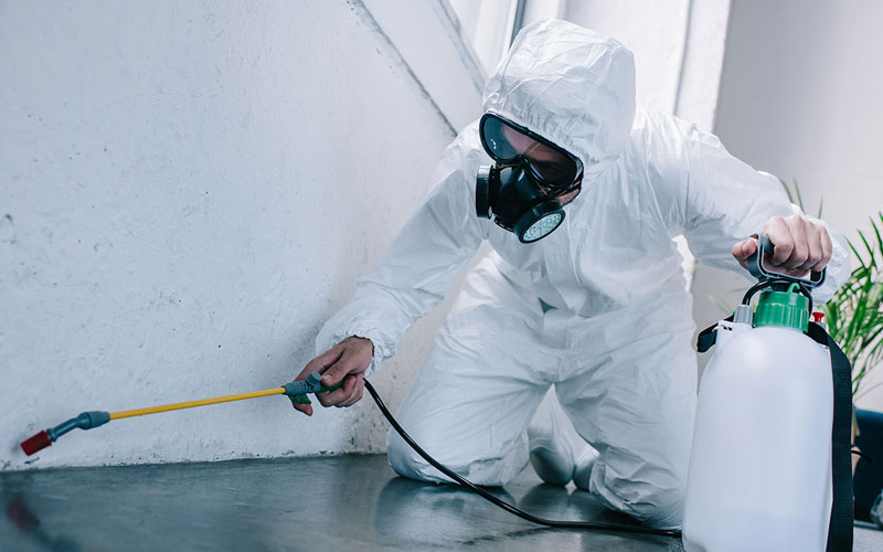 Best Pest Control Services In Uttar Pradesh